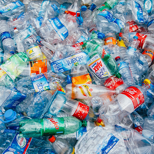 Plastic Bottles